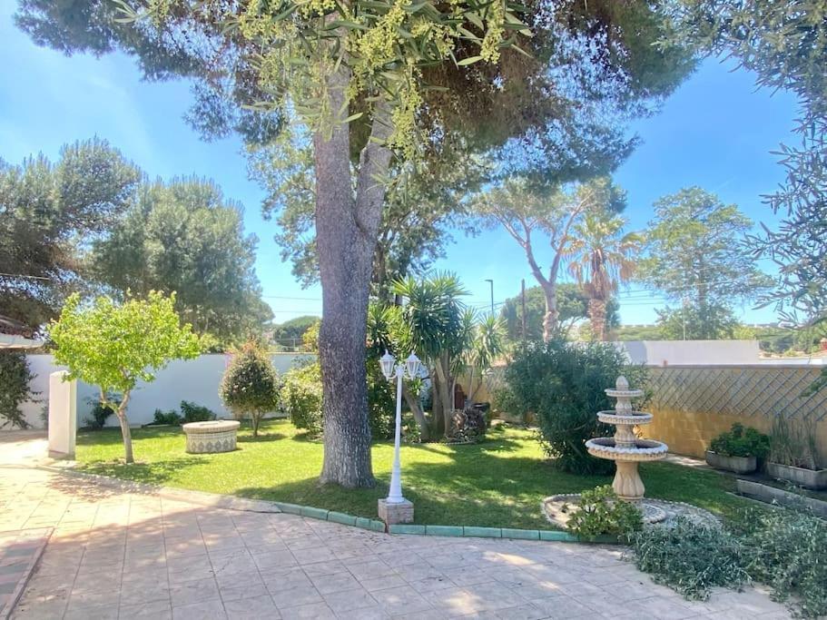 Marisma Home Chiclana de la Frontera Eksteriør billede